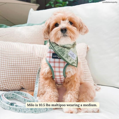 Lucy & Co. Cute Reversible Dog Harness Walking Halter - Best Designer Pet Harnesses for XS - XL Dogs - Padded Adjustable Vest for Easy Walking-X-Small-Green Outdoor Plaid