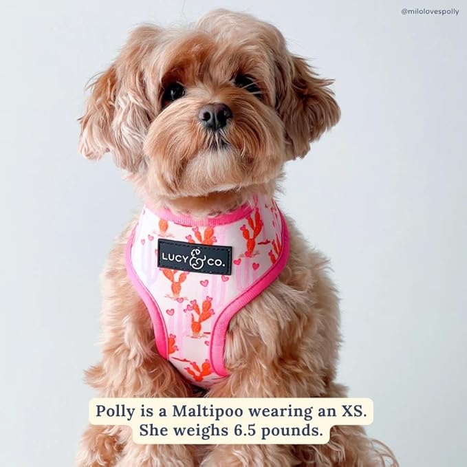 Lucy & Co. Cute Reversible Dog Harness Walking Halter - Best Designer Pet Harnesses for XS - XL Dogs - Padded Adjustable Vest for Easy Walking. (Howdy, Honey Reversible Harness).