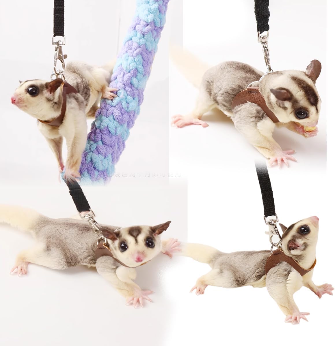 MANON ROSA Sugar Glider Harness & Leash Set - Escape-Proof 3-Piece Adjustable Vest for Squirrels Rats Mice Mouse & Small Animals - Hamster Gerbil Walking Gear, Pet Toy Accessories, Orange