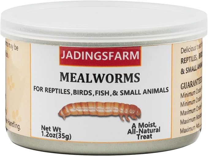 6 Pack Canned Mealworms for Reptiles, Fish, Birds and Small Animals, Meal Worms, Healthy High Protein Treat, Reptile Bird Fish Food 7.2 Ounces Total