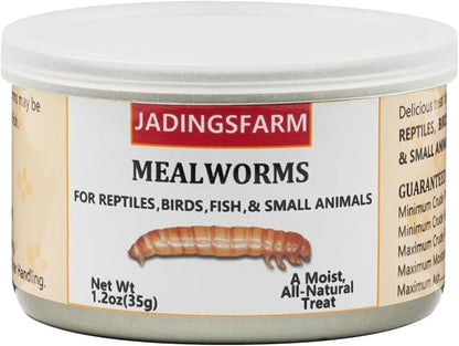 6 Pack Canned Mealworms for Reptiles, Fish, Birds and Small Animals, Meal Worms, Healthy High Protein Treat, Reptile Bird Fish Food 7.2 Ounces Total