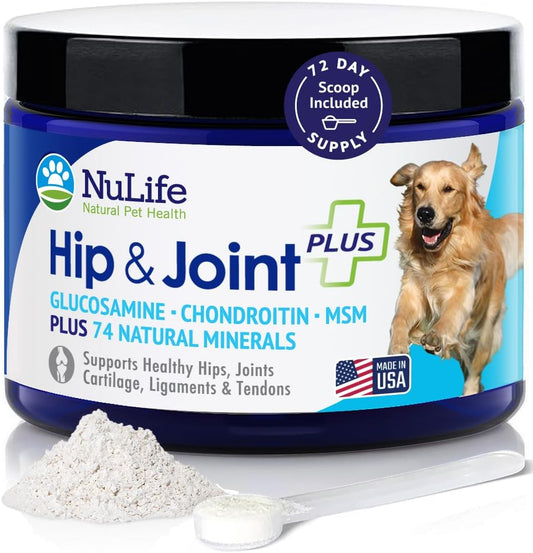 Advanced Glucosamine Powder for Dogs for Arthritis Pain Relief & Hip Dysplasia, Supports Joint Health & Reduces Inflammation with Glucosamine, Chondroitin, MSM & Coral Calcium, 6oz Powder