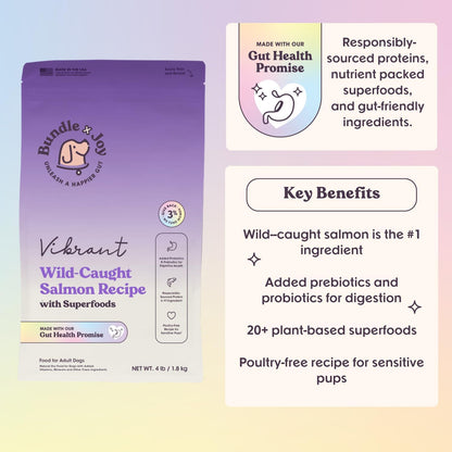 Bundle x Joy Vibrant Probiotic Dog Food Dry, Salmon, 18lb Bag, Allergy and Gut-Friendly Adult Kibble for Digestive Health with Wild-Caught Salmon, 20 Plant Based Superfoods, Grain x Poultry Free