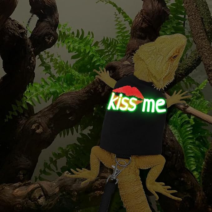 Bearded Dragon Harness and Leash with Glow in The Dark Letter, Luminous Lizard Reptiles Harness with 4.75 ft Leash for Amphibians Chameleons Outdoor Walking (Black)