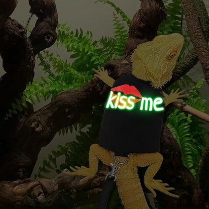 Bearded Dragon Harness and Leash with Glow in The Dark Letter, Luminous Lizard Reptiles Harness with 4.75 ft Leash for Amphibians Chameleons Outdoor Walking (Black)