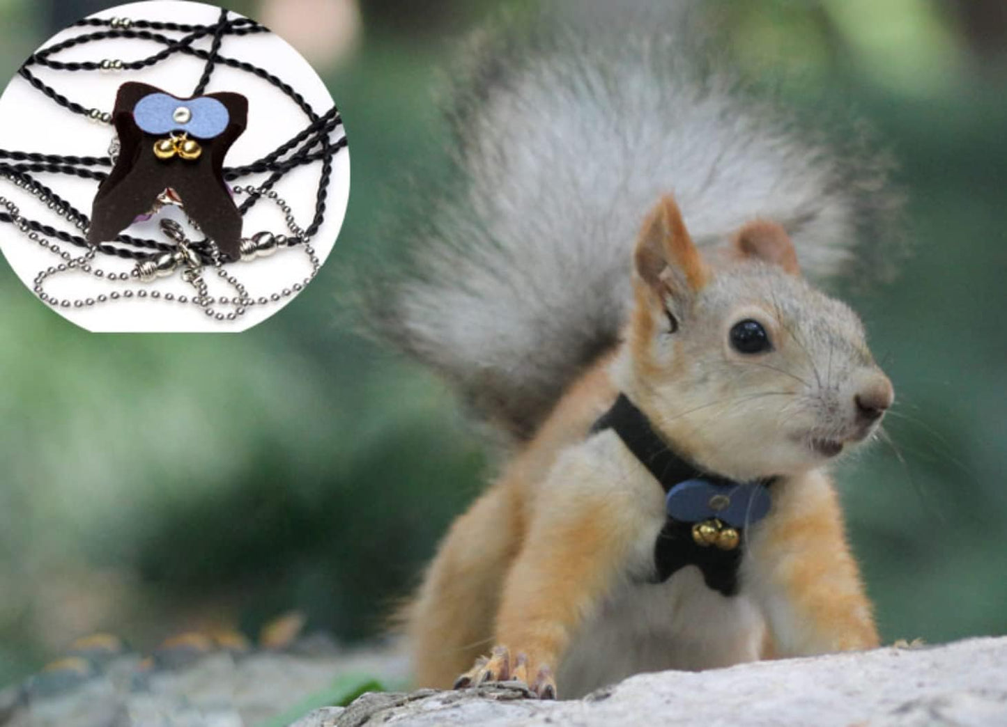 Squirrel Traction Rope Strap Anti-Biting Chain Rope, Adjustable Vest, Small Animal Walking Harness with Lead Leash with Free Collar for Hamster Gerbil Rat Mouse Ferret Chinchilla (Blue)