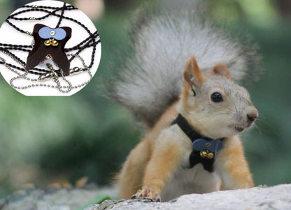 Squirrel Traction Rope Strap Anti-Biting Chain Rope, Adjustable Vest, Small Animal Walking Harness with Lead Leash with Free Collar for Hamster Gerbil Rat Mouse Ferret Chinchilla (Blue)