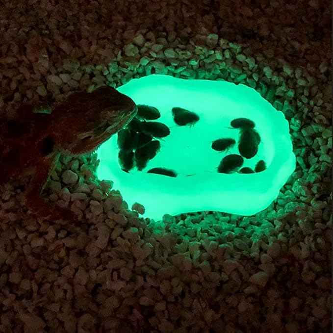 Reptile Water Dish,Resin Reptile Rock Food Feeder Bowl, Water and Food Bowl,Terrarium Decor for Leopard Gecko, Lizard,Spider,Turtle,Scorpion, Chameleon,Hermit Crabs (M, Green-Glow in Dark)