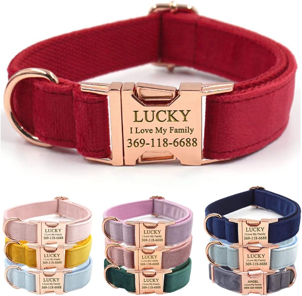 PETDURO Custom Dog Collar Personalized with Name Engraved Rose Gold Metal Buckle for Large Medium Small Girl Dogs - Dog Leash and Bow Tie Available - Soft Comfy Velvet (Christmas Red RG, XL)