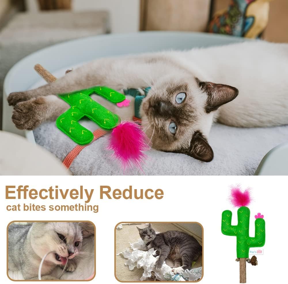 PAZ'S GIFT Catnip Toys - Cat Kick & Rope Toys for Indoor Play, Cat & Kitten Teething Chew Toys for Aggressive Chewing & Teeth Cleaning (Polygonum tinctorium Cactus)