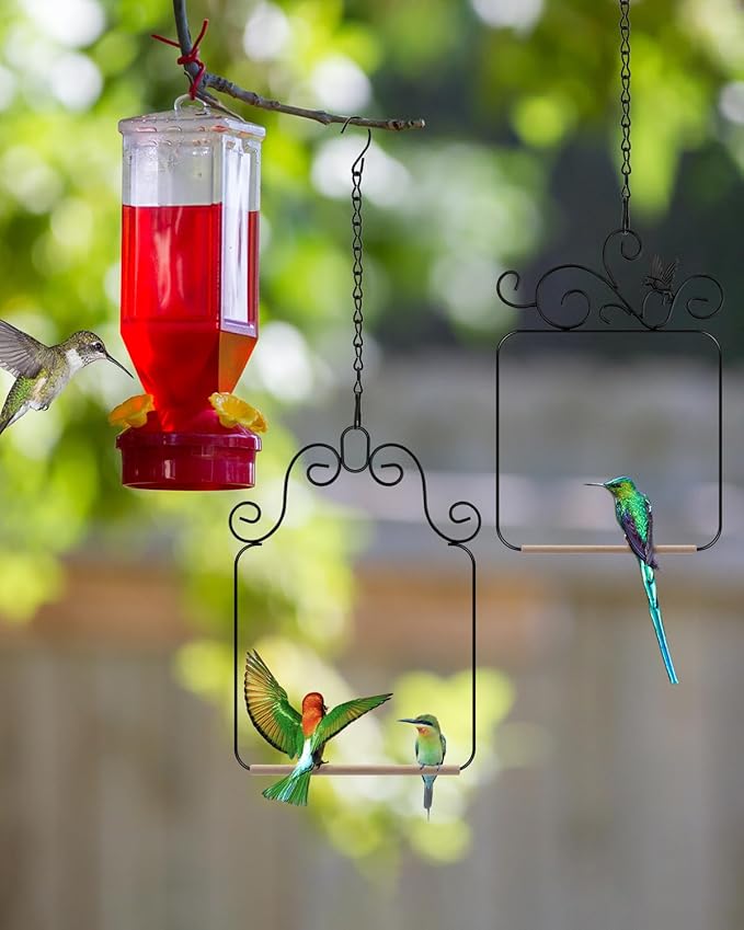 PACETAP Hummingbird Swings and Perches Metal Frame 4 Pack, Wild Bird Swing Outdoor Bird Perch with Wooden Dowel and Hanging Chain for Hanging Indoor, Outdoor, Trunk, Lawn, Patio, Garden (Black)