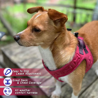 Comfort fit Step-in Dog & Puppy Harness - Comfortable All Weather Dog Vest Harness: Adjustable, Soft Padded, Easy to Put-on for Small, Medium-Sized Dogs.