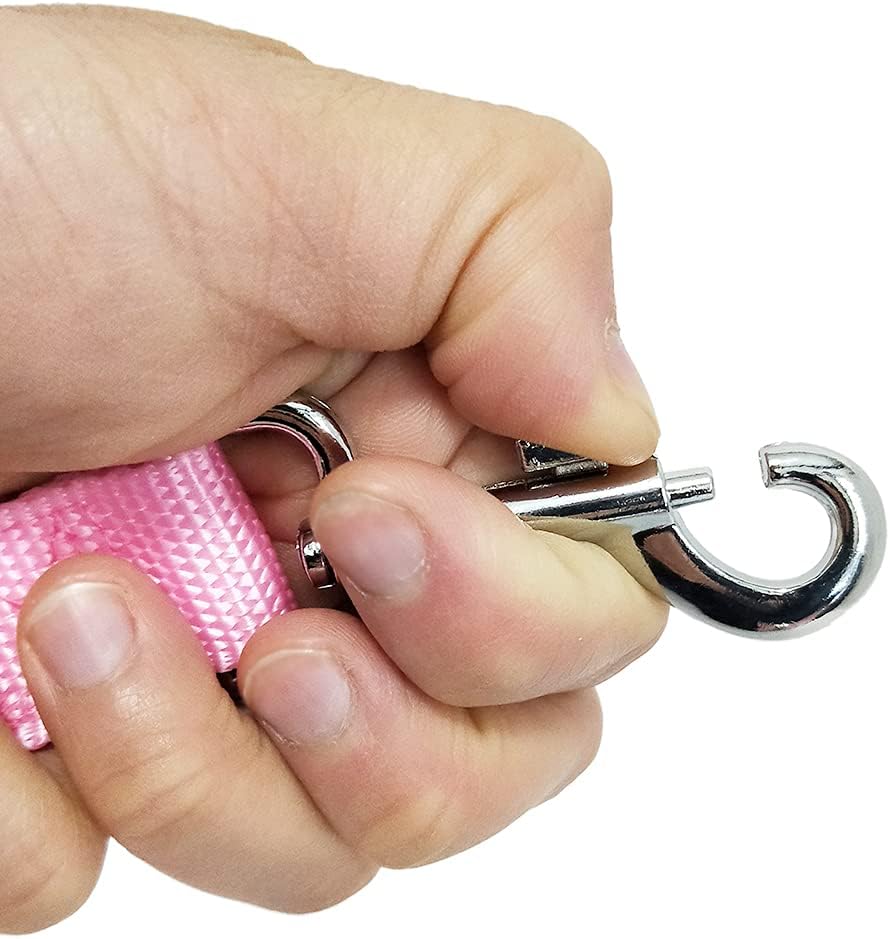 Nylon Dog Training Leash, Traction Rope, 4/5/6 Feet Long, 3/4 Inch 1 Inch Wide, for Small and Medium Dogs (1'' x 4 FT, Pink)