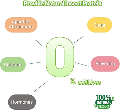 Crested Gecko Food Insect Puree, Dubia Paste Reptile Food Made with Fresh Insects 2.82oz