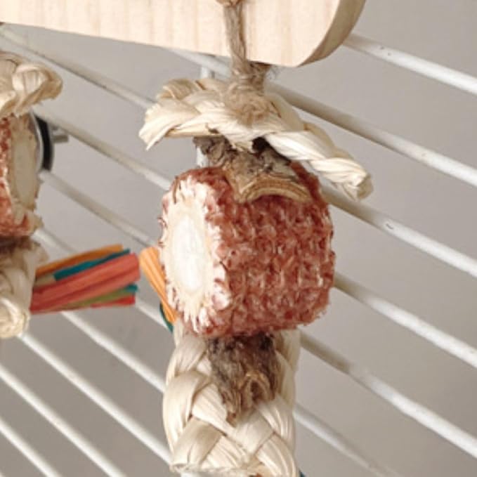 Parrot Chewing Stopper Toy, Wooden Biting Training and Foraging Bird Toys, Cork Treasure Hunt Games for Parakeets Conures Bird Intelligence and Emotions Random Color (B)