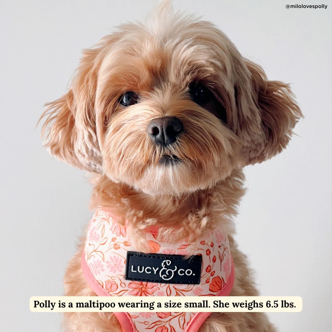 Lucy & Co. Cute Reversible Dog Harness Walking Halter - Best Designer Pet Harnesses for XS - XL Dogs - Padded Adjustable Vest for Easy Walking-Small-Peach Pink Floral Plaid