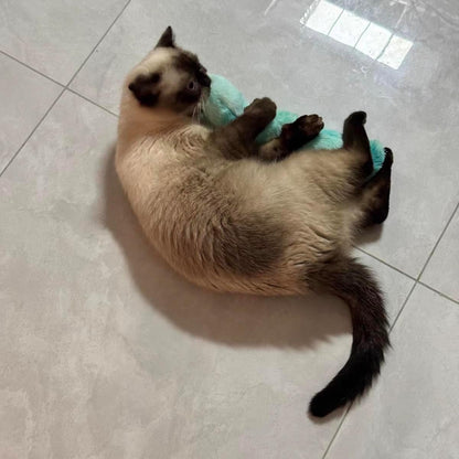 PAZ'S GIFT Catnip Toys - Cat Kick & Rope Toys for Indoor Play, cat & Kitten Teething Chew Toys for Aggressive Chewing & Teeth Cleaning (Cat Pillow)