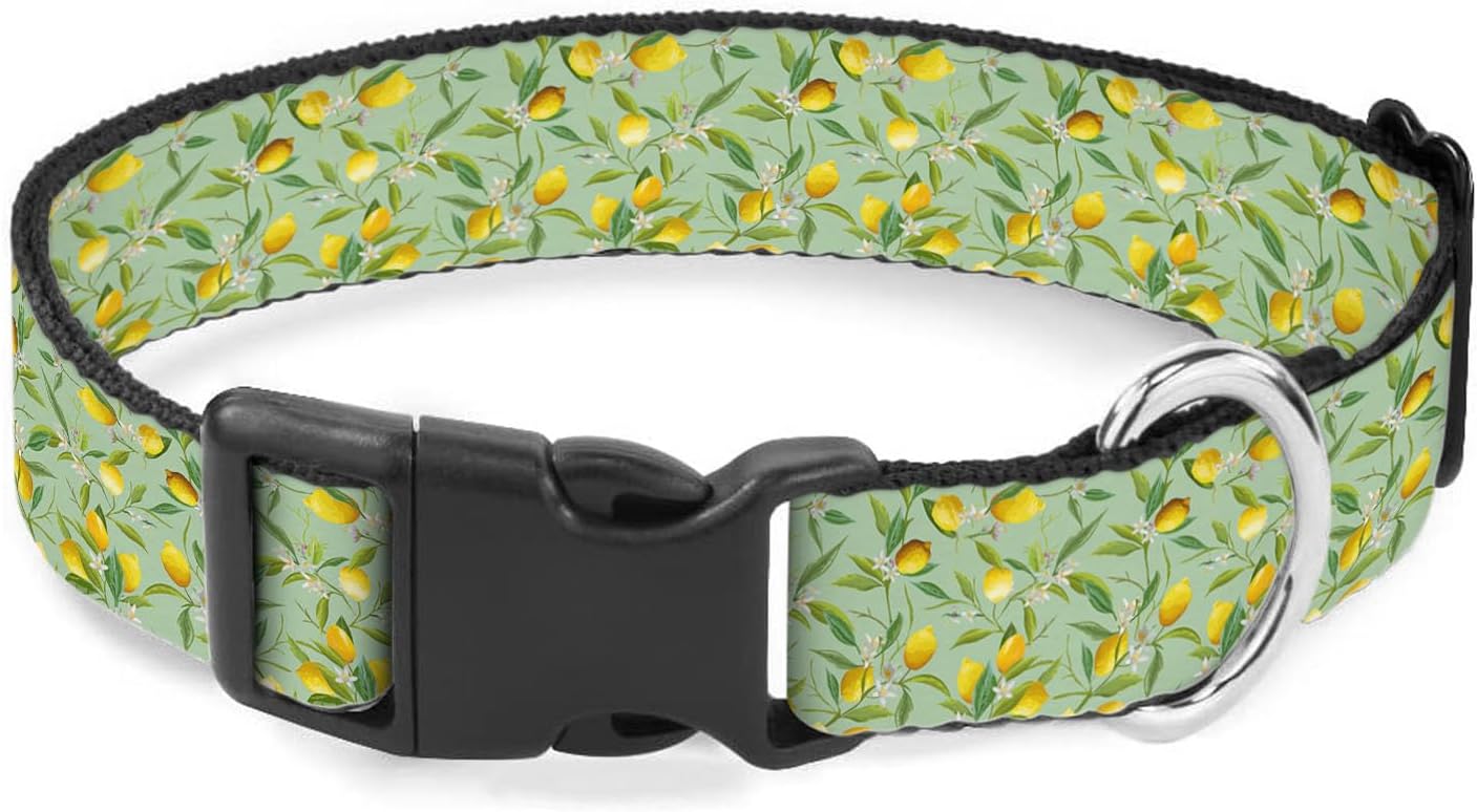 Yellow Lemon Fruit Green Leaf Dog Collars Soft Adjustable Collar Strap for Small Medium Large Dogs Cats Pet