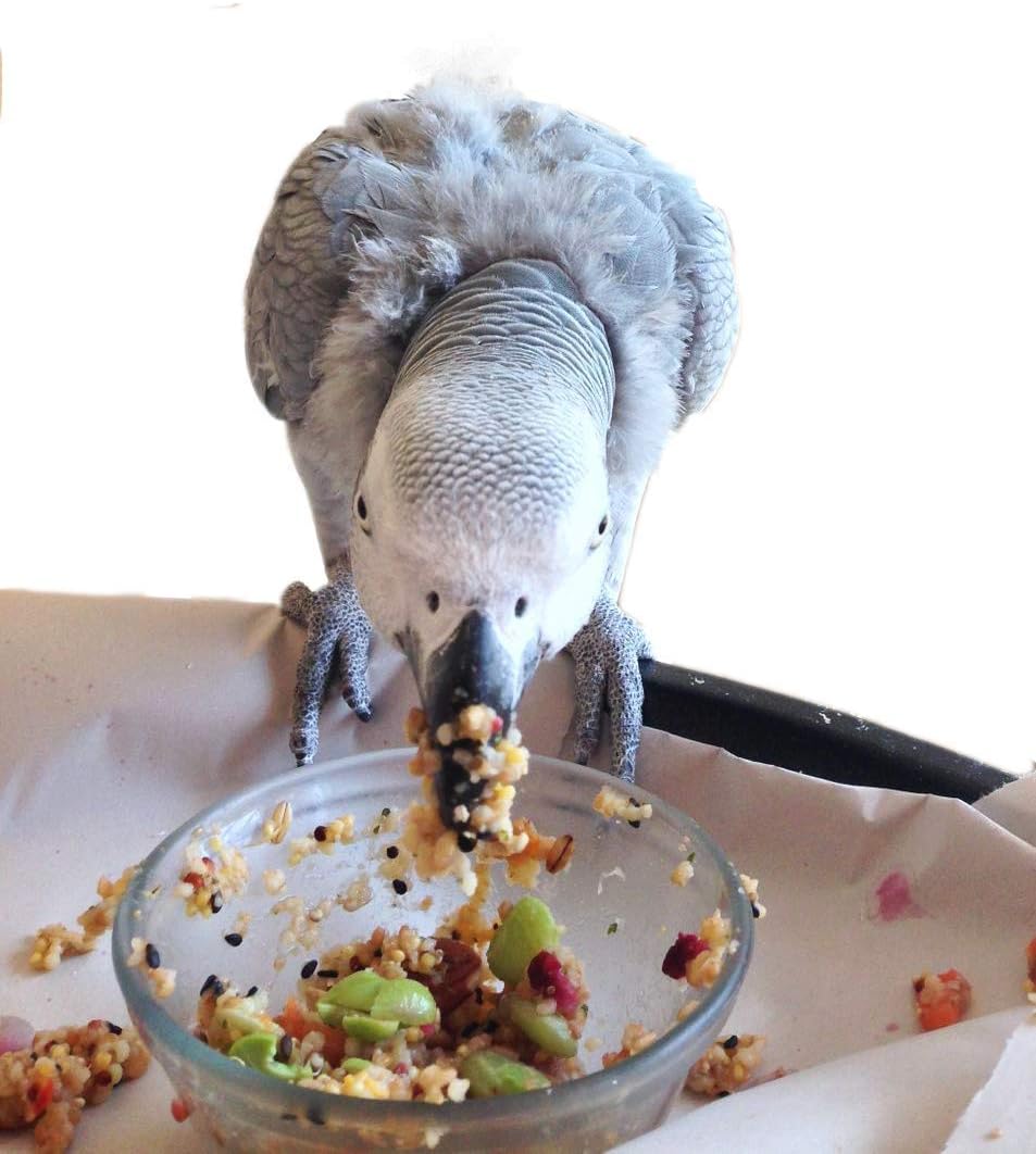 Bird Street Bistro Parrot Food - Parakeet & Cockatiel Food - Cooks in 3-15 min with Natural & Organic Grains, Legumes, Non-GMO Fruits, Vegetables & Health-Oriented Spices