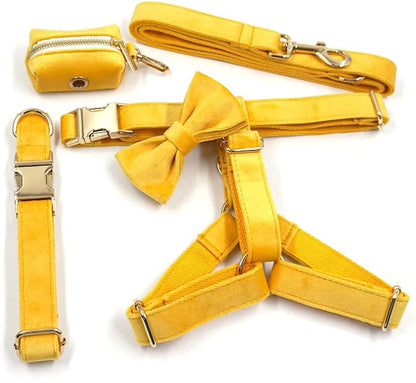 PETDURO Personalized Dog Collar Ginger Soft Velvet for Large Medium Small Boy Girl Dogs - Custom Collar with Name Phone Number Engraved on Gold Metal Buckle - Add Leash Bow Set via Customize Now