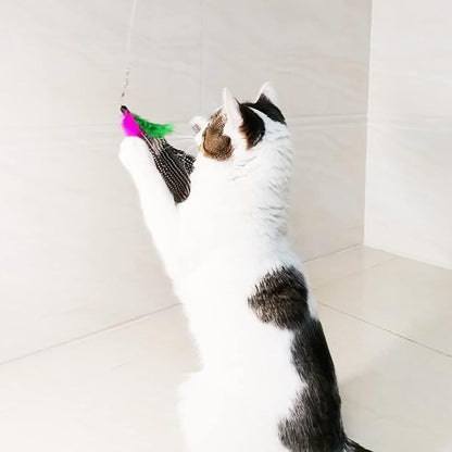 Cat Feather Toys Refills, 8 Pieces Natural Da Bird Feathers Refill, Cat Wand Replacement Feather for Indoor Cats (D)