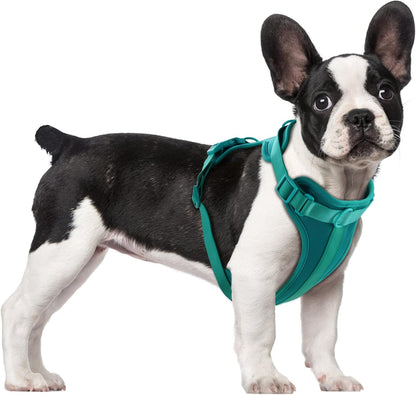 Wisedog No Pull Lightweight Dog Vest Harness with Soft and Comfortable Cushion, Breathable Mesh, for Small Medium Large Dogs Walking (M(Neck: 11.81"-18.11";Chest: 18.11"-27.95"), Emerald Green)