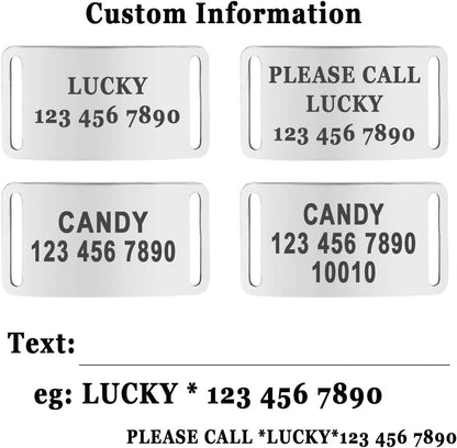 Personalized Custom No Pull Dog Harness Leash Set with Name Phone Number-Heavy Duty Reflective Soft Padded Dog Vest Harness with Easy Control Handle for Small Medium Large Dog-2 Leash Attachments