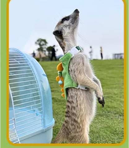 Ferret Harness and Leash Set Small Animals Vest Harness with Safe Bell Dinosaur Shaped Walking Clothes for Baby Rabbit Guinea Pig Teacup Chihuahua Mouse and Other Small pet (Green)