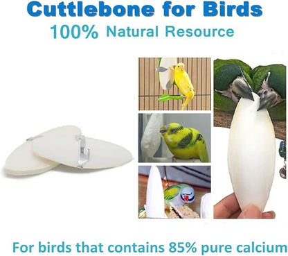 Jmxu's 3.5"-4" Cuttlebone for Birds Natural Cuddle Bone for Parakeets, Cuttlefish Bone for Sharp Beaks, Natural Birds Calcium for Parrot Cockatiels Budgie, 12Pcs