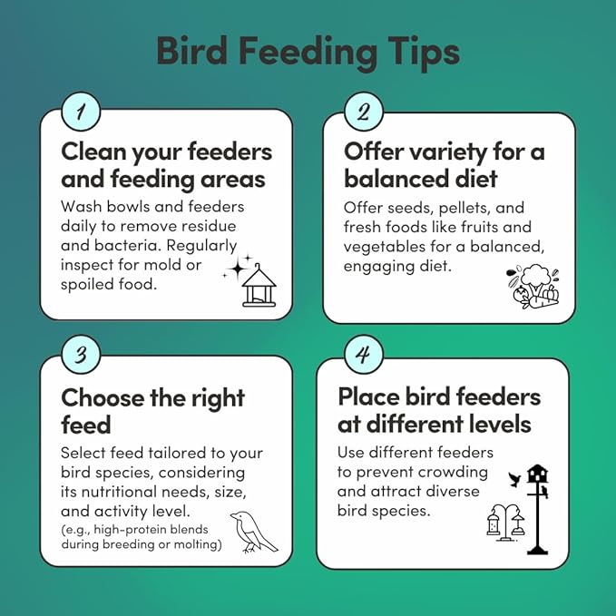 Mycelium Parakeet Superfood (5 LBS) | Organic Bird Seed for Parakeets & Small Pet Birds | Vitamin-Enhanced for Immunity, Brain & Heart Support | Non-GMO, Clean Ingredients, Made in USA