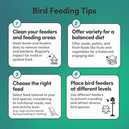 Mycelium Parakeet Superfood (5 LBS) | Organic Bird Seed for Parakeets & Small Pet Birds | Vitamin-Enhanced for Immunity, Brain & Heart Support | Non-GMO, Clean Ingredients, Made in USA