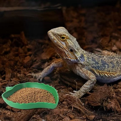 4Pack Terrarium Bowls Turtle Feeding Dishes Shallow and Flat Reptile Food and Water Feeder for Tortoise,Bearded Dragon,Lizards,Gecko,Cute Leaf and Mango Shaped