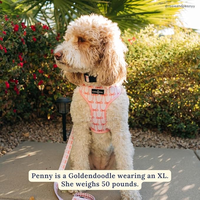 Lucy & Co. Cute Reversible Dog Harness Walking Halter - Best Designer Pet Harnesses for XS - XL Dogs - Padded Adjustable Vest for Easy Walking (Large, Ballet Bows - White & Pink Bows)