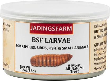 6 Pack Canned Black Soldier Fly Larvae for Reptiles, Fish, Birds and Small Animals, BSF, Healthy High Protein Treat, Reptile Bird Fish Food 7.2 Ounces Total