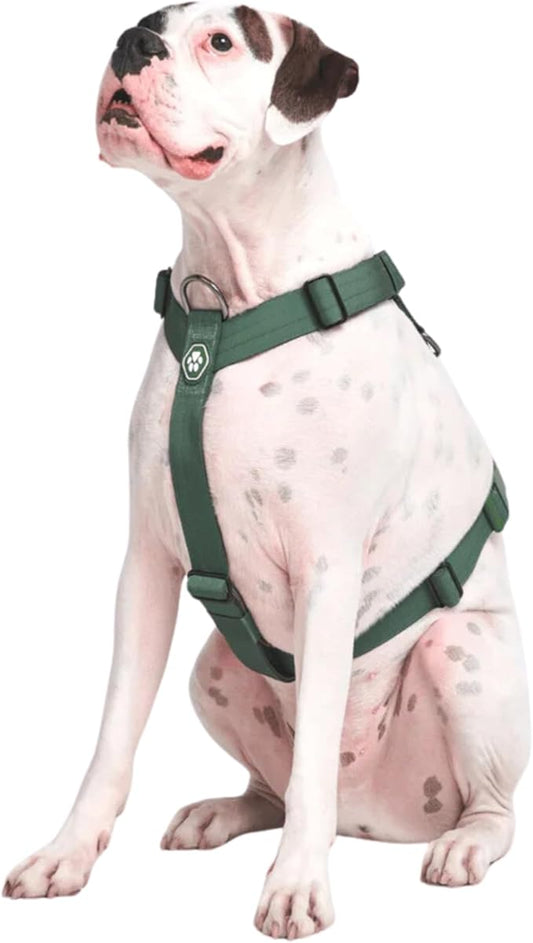 Spark Paws No Pull Dog Harness for Large Dogs, Heavy Duty Dog Harness for Big Strong Breeds, Adjustable, Y Shaped Padded Halter Design with Front Clip - Solid Green – M