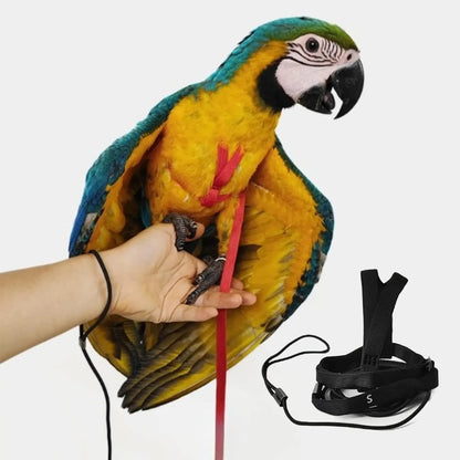 Adjustable Bird Harness with 78.7 Inch Leash, Outdoor Flying Training Rope Kit for Bird Parrots, Parrot Flying Rope Straps Outdoor Training Traction Rope for Small Medium Large Size Birds (S)