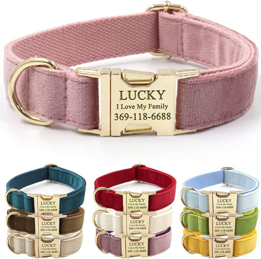 PETDURO Custom Dog Collar Personalized with Name Engraved Gold Metal Buckle for Large Medium Small Girl Dogs - Dog Leash and Bow Tie Available - Soft Comfy Velvet (Champagne Pink, XL)