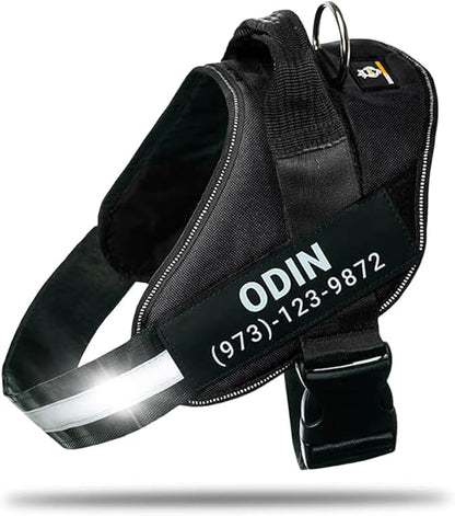 Personalized No-Pull Dog Harness with Name Patch, Adjustable, Reflective, Padded, Heavy Duty Pet Vest to Prevent Tugging, Pulling, or Choking, Training and Walking, Black, XS