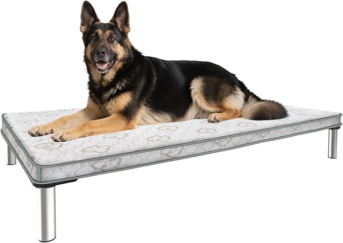 FXW TitanNest Chew-Proof Elevated Dog Bed, Raised Cot for Indoor/Outdoor/Camping Use, Durable & Waterproof Cooling Pet Bed with Exclusive Cover for Large Dogs, 50.0" L x 31.0" W x 7.3" H, Black