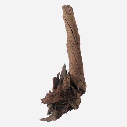 LYPHARD AQUARIUMS Natural Driftwood for Aquarium Decor, L12.2×W9.45×H19.69 Inches Large Drift Wood Decorations for Reptile Hide, Fish Tank, Optional Shapes
