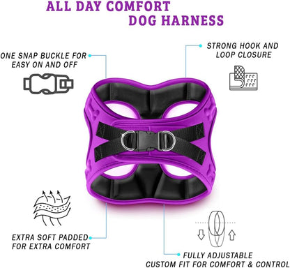 Comfort fit Step-in Dog & Puppy Harness - Comfortable All Weather Dog Vest Harness: Adjustable, Soft Padded, Easy to Put-on for Small, Medium-Sized Dogs.