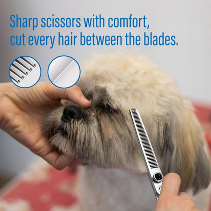 Dog Grooming Scissors: 6.5 inch Pet Blender Shears Made Of Japanese 9CR Advanced Stainless Steel Professional Grooming Scissors for Dogs Cats and Other Pets