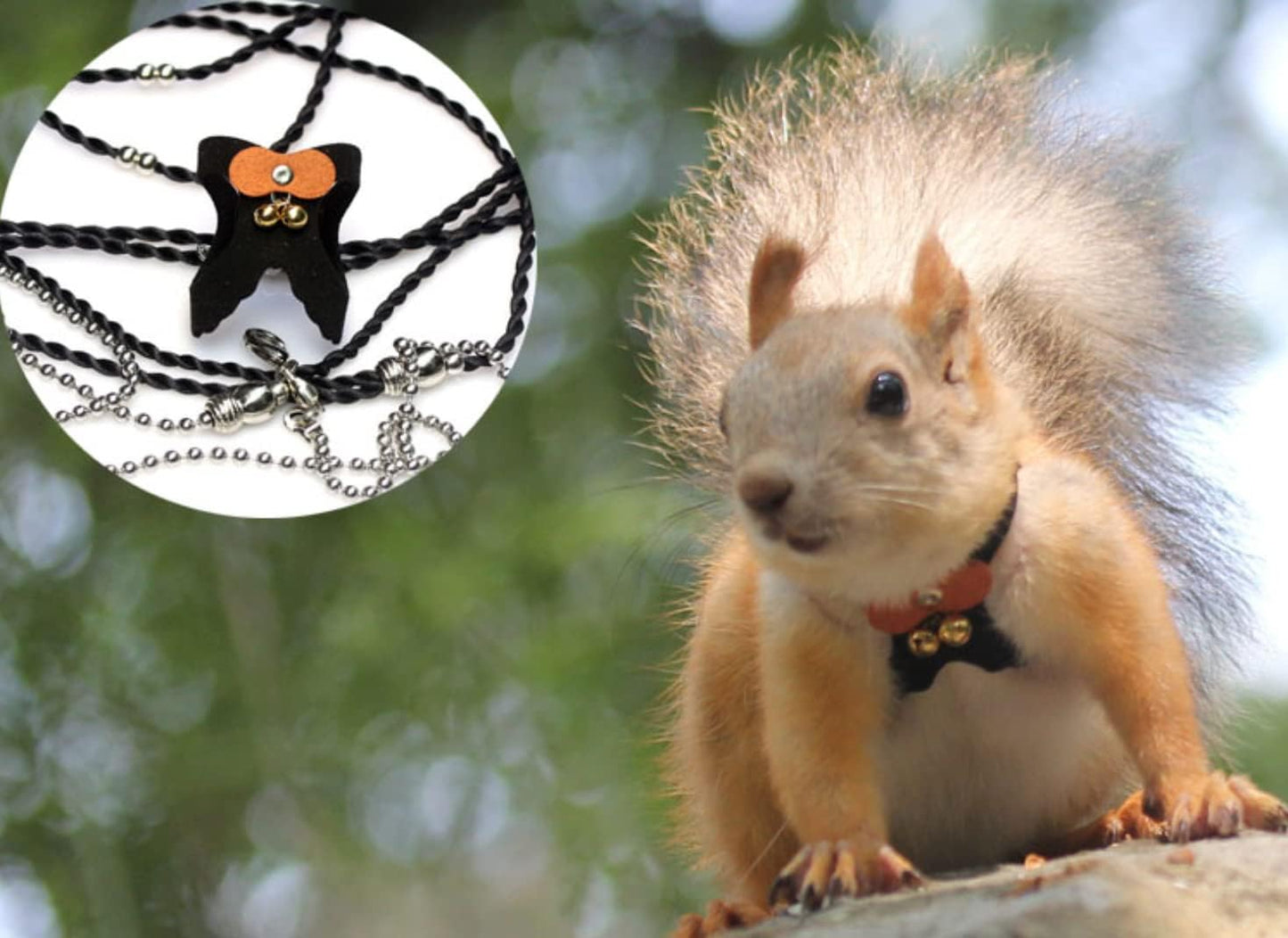 Squirrel Traction Rope Strap Anti-Biting Chain Rope, Adjustable Vest, Small Animal Walking Harness with Lead Leash with Free Collar for Hamster Gerbil Rat Mouse Ferret Chinchilla (Blue)