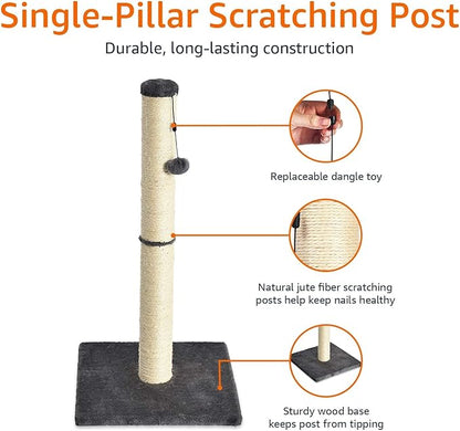 Amazon Basics Cat Scratcher - Indoor Classic Single Cat & Kittens Scratching Post, Medium (31.5"H) - Grey