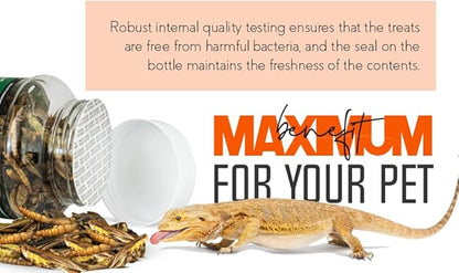 Medley Treat Bearded Dragon Food - Freeze Dried Mealworms, Grasshoppers, Crickets, Quality Tested, Vitamin & Calcium Enriched, Essential Proteins, Fats & Minerals - For Bearded Dragons, Reptiles 2.5oz