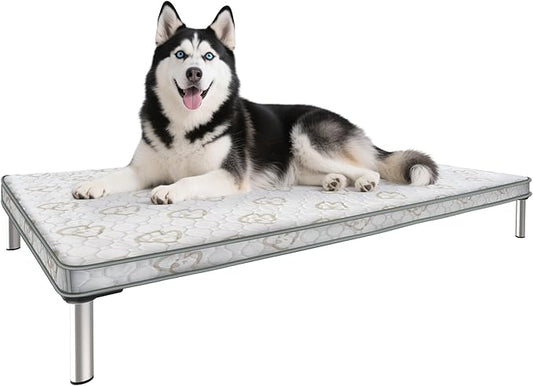 FXW TitanNest Chew-Proof Elevated Dog Bed, Raised Cot for Indoor/Outdoor/Camping Use, Durable & Washable Padded Pet Bed with Exclusive Cover for Medium Dogs, 42.0" L x 27.0" W x 5.0" H, Gray
