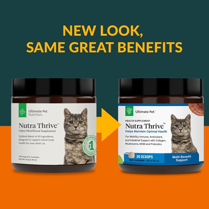 Ultimate Pet Nutrition Nutra Thrive™ Cat Supplement, Vet-Developed Powder for Mobility, Immune Support, Antioxidants & Digestion with Probiotics, Collagen, & Superfoods, 30 Servings