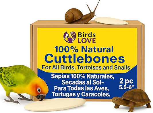 Birds LOVE Natural Cuttlebone | 100% Pure Sun-Dried Calcium Supplement for Birds, Tortoises, Snails & Crabs | Supports Beak & Shell Health | Easy to Chew | 2 Pack, Size 5.5 to 6"
