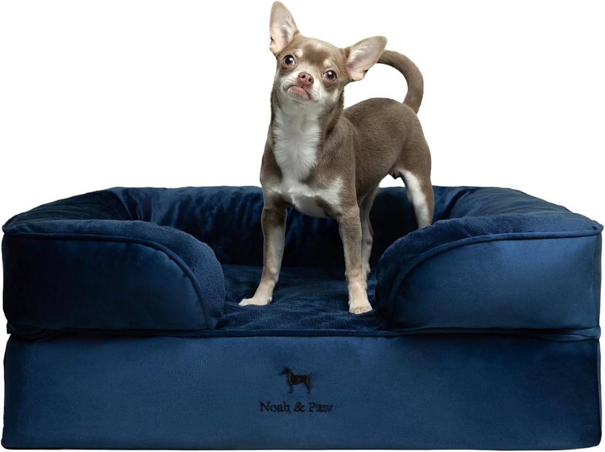 NOAH & PAW Dog Bed, 28x23x11 Inch, Orthopedic Dog Beds for Medium Size Pets, Eggshell Memory Foam Infused with Cooling Gel, Inner Cover, Waterproof, Machine Washable (Velvet Sofa Collection)