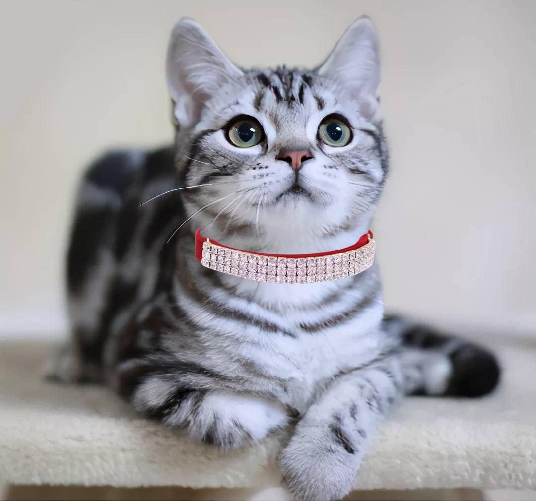 THAIN Rhinestones Cat Dog Collar Soft Velvet Safe Adjustable Collar Bling Diamante with Bells, 8-11 inch for Small Dogs and Cats (Red)